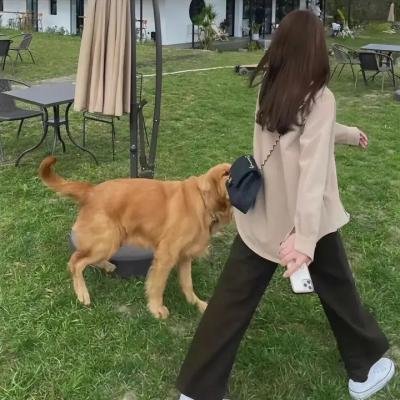 印第安大屠杀